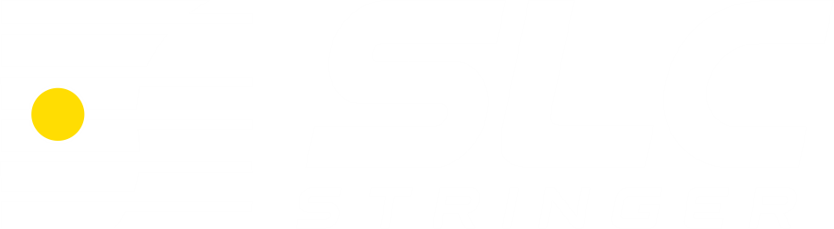 Salt Lake City Stringer